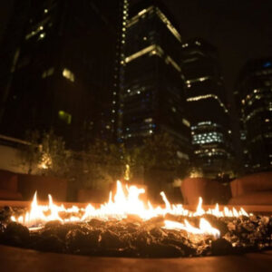 Planika Galio Star Automatic Insert